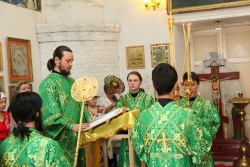 ����������� 126